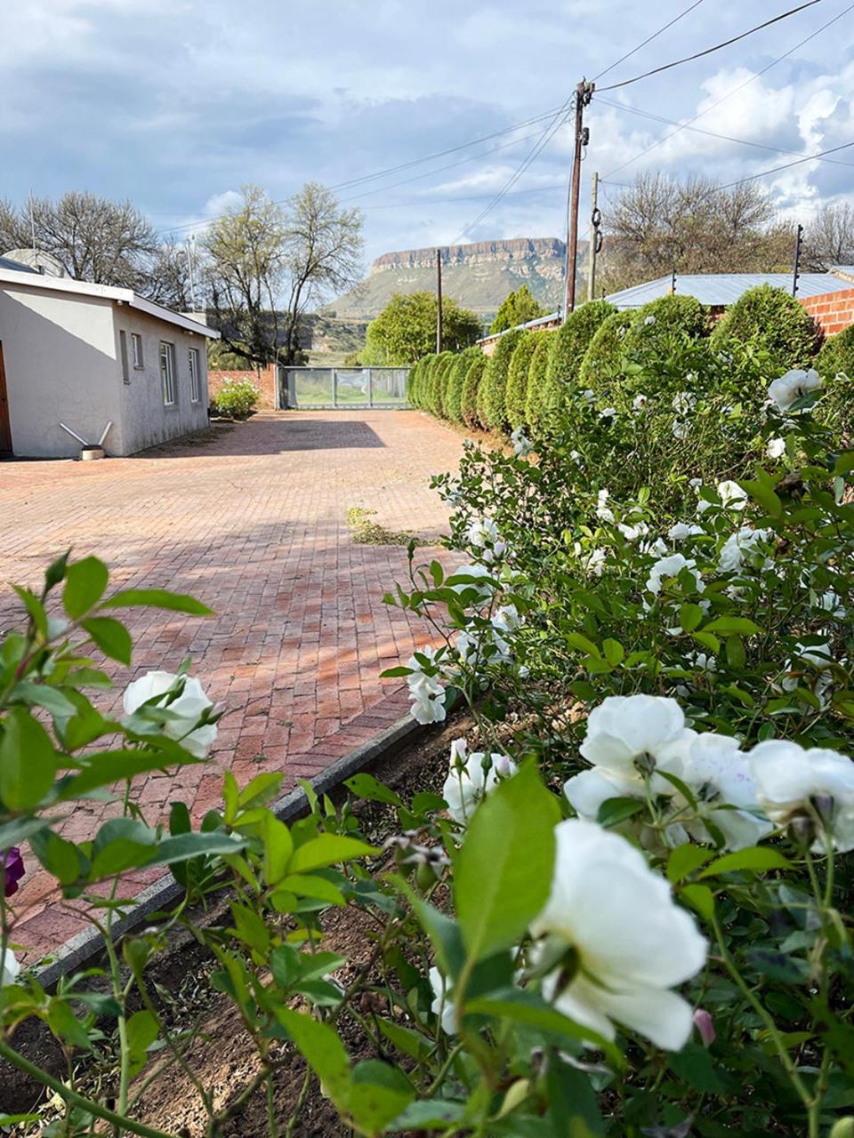Village Lodge Harrismith Exterior foto